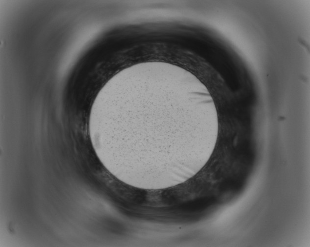 X0000096960766200803071051