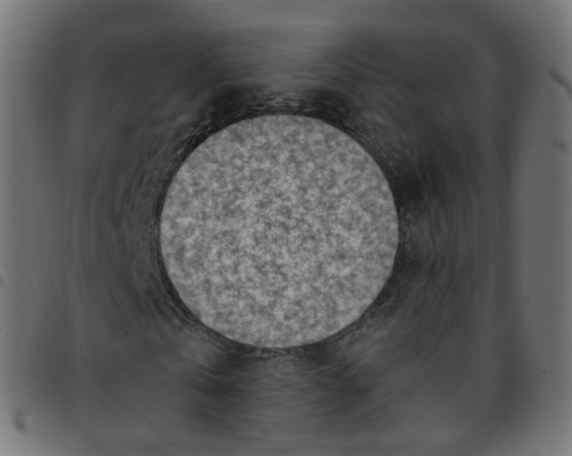 X0000096960769200803071050