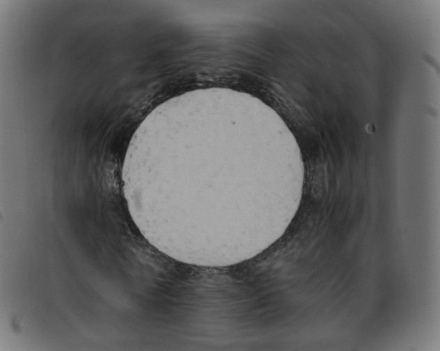 X0000096960770200803071050