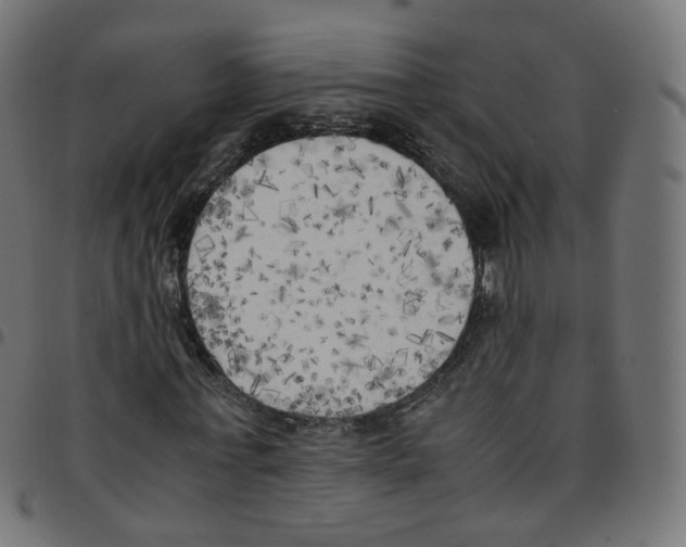 X0000096960771200803071050