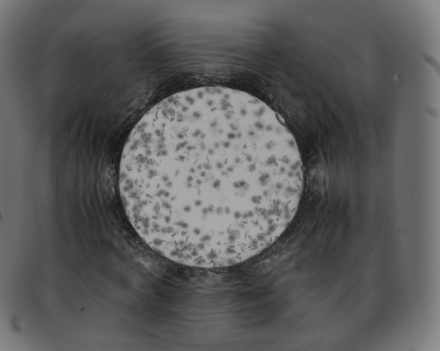 X0000096960772200803071050