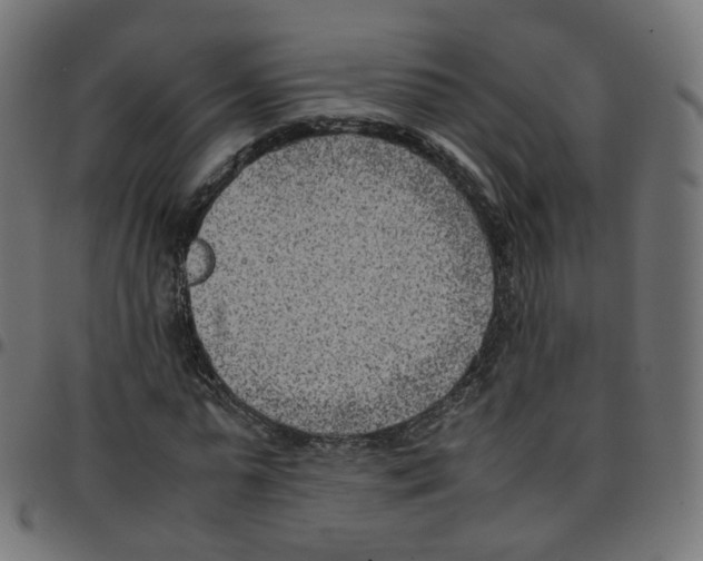 X0000096960775200803071050