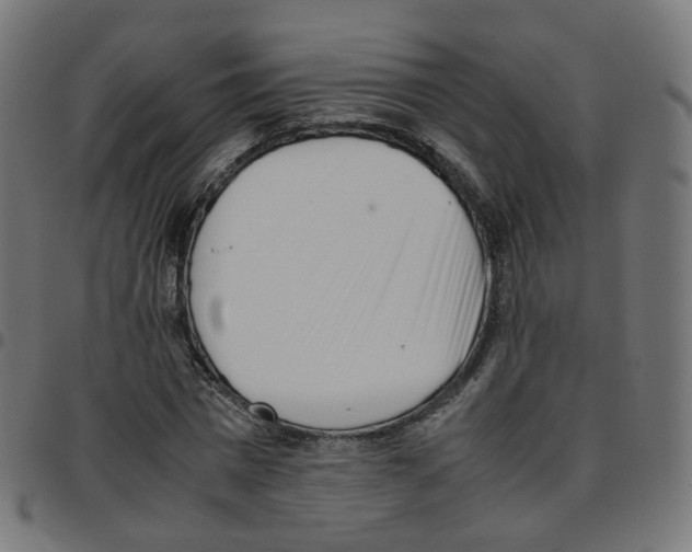 X0000096960777200803071050