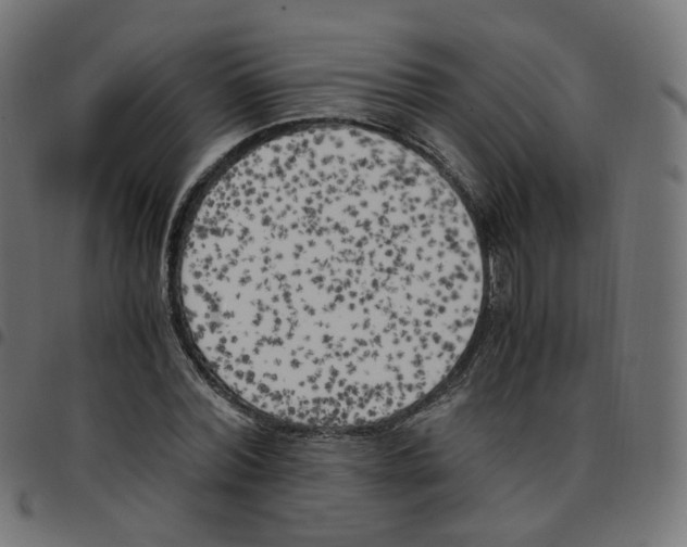 X0000096960780200803071050