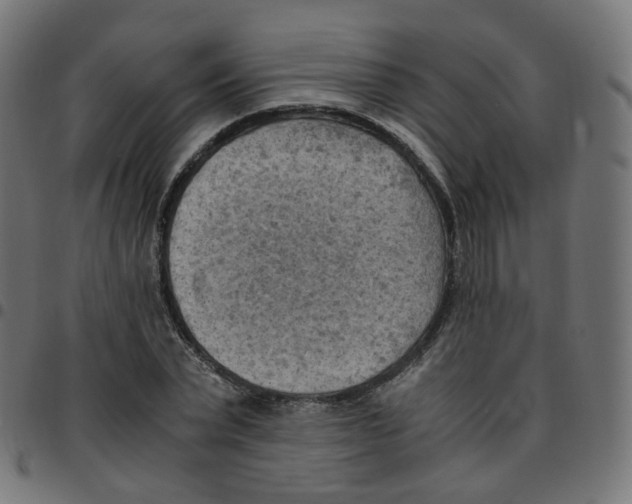 X0000096960783200803071050