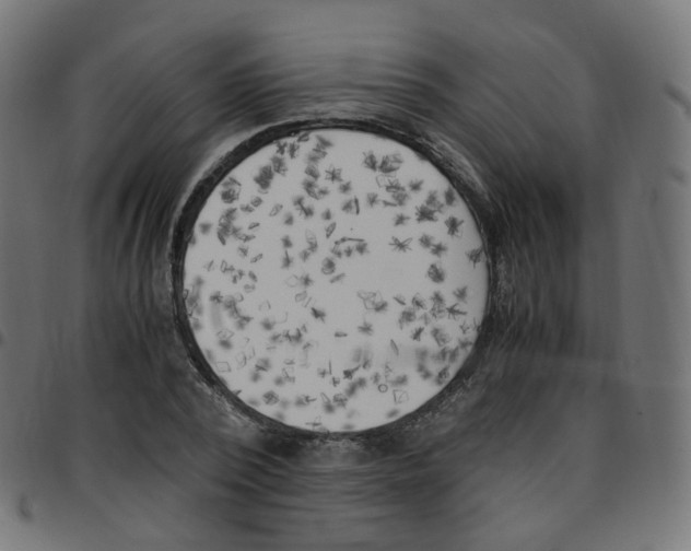 X0000096960784200803071050