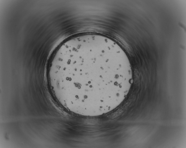 X0000096960788200803071050