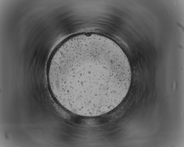 X0000096960792200803071050