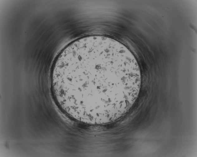 X0000096960795200803071050