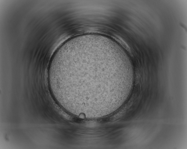 X0000096960798200803071050