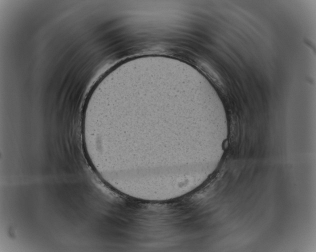 X0000096960800200803071050