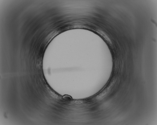 X0000096960801200803071050