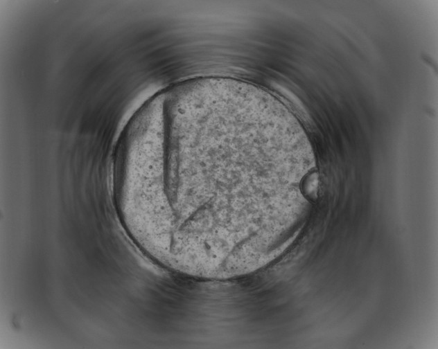 X0000096960804200803071050