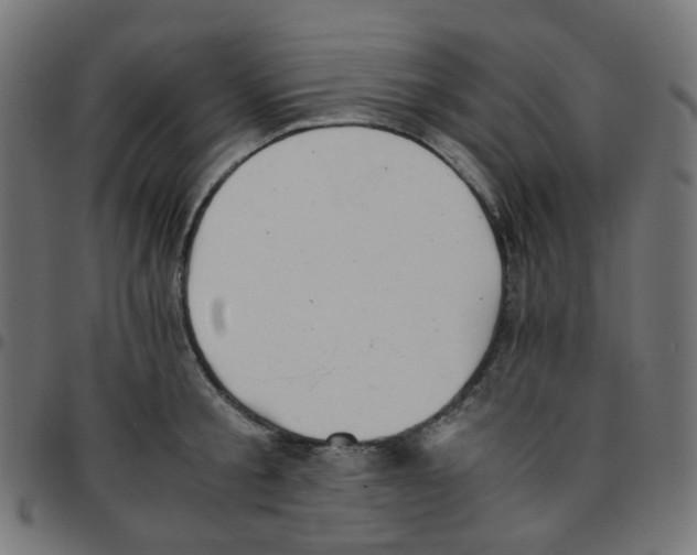 X0000096960805200803071050