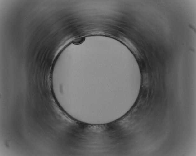 X0000096960806200803071050