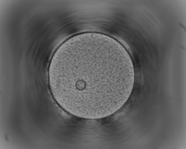 X0000096960807200803071050