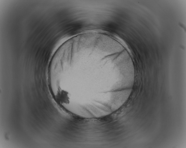 X0000096960811200803071050