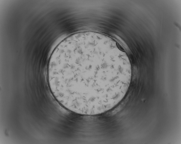 X0000096960812200803071050