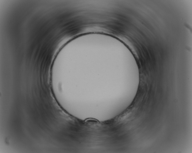 X0000096960815200803071050