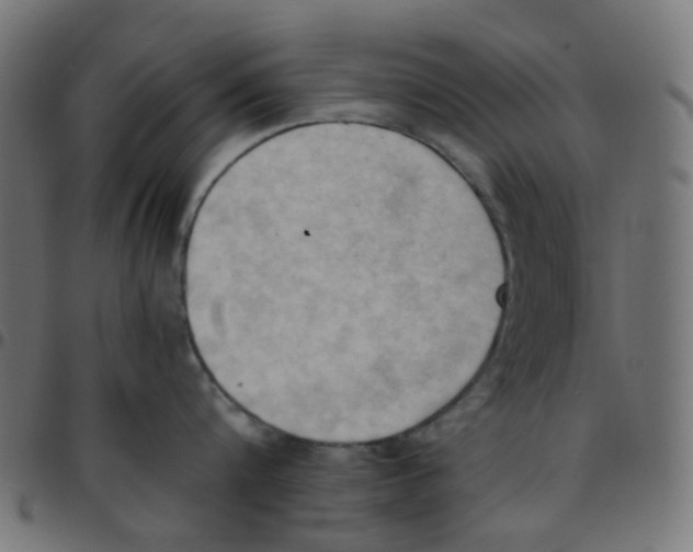 X0000096960816200803071050