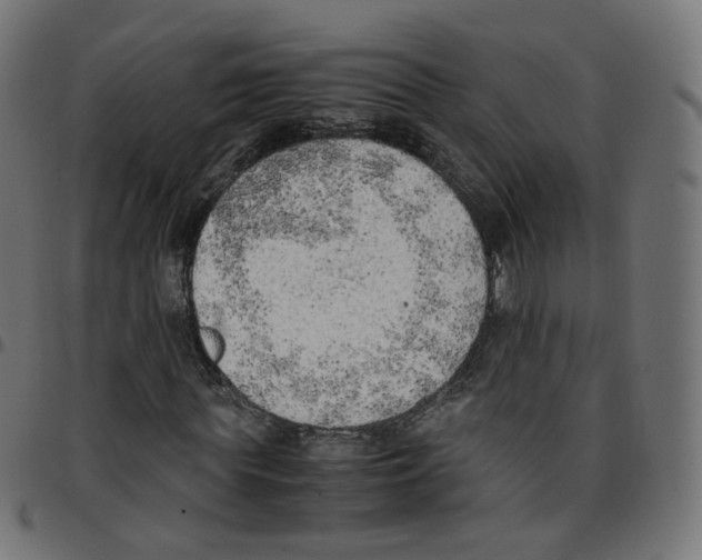 X0000096960819200803071049