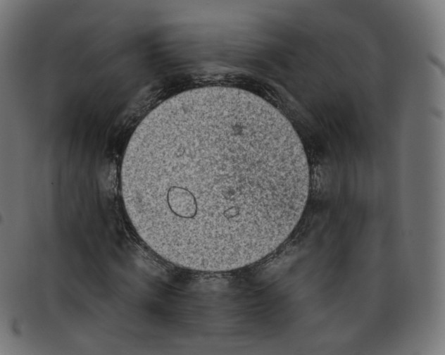 X0000096960820200803071049