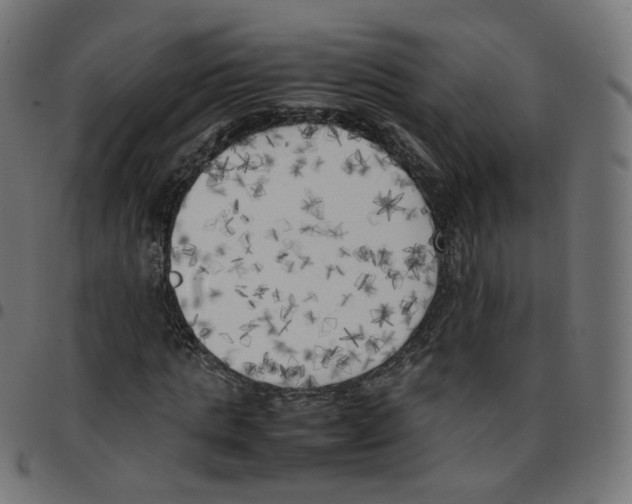 X0000096960821200803071049