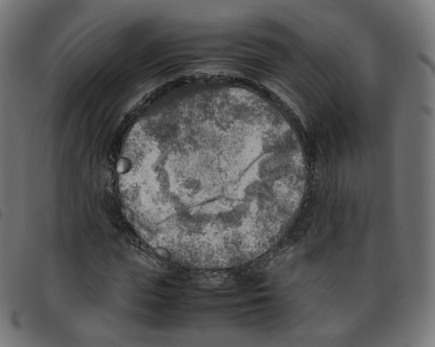 X0000096960823200803071049