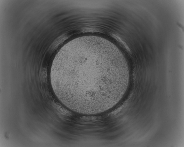 X0000096960825200803071049