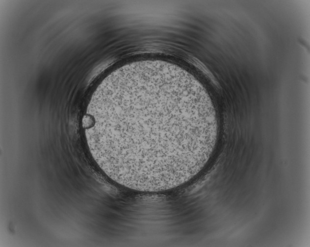 X0000096960826200803071049