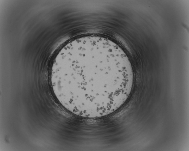 X0000096960827200803071049