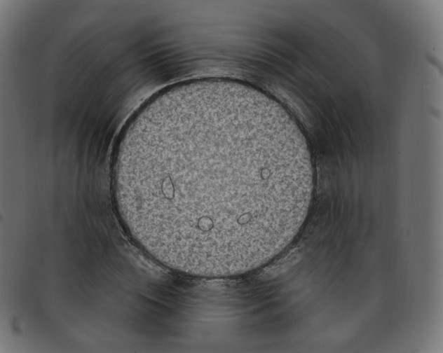 X0000096960828200803071049