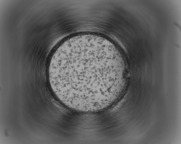 X0000096960830200803071049