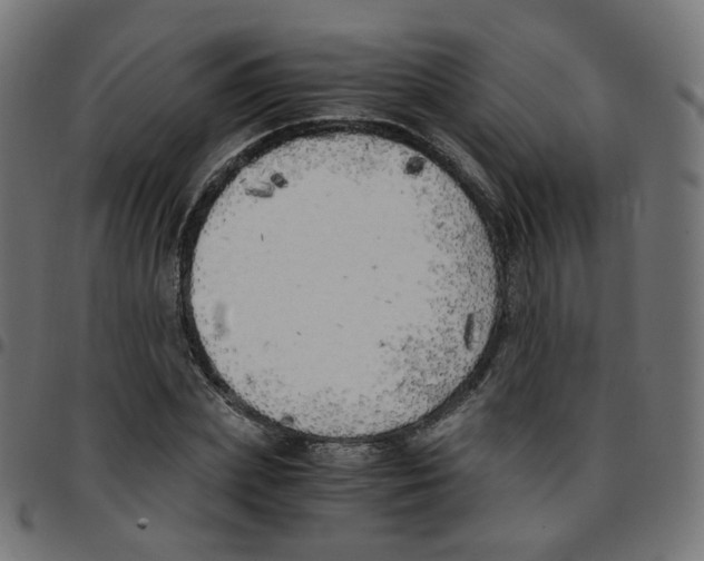 X0000096960831200803071049