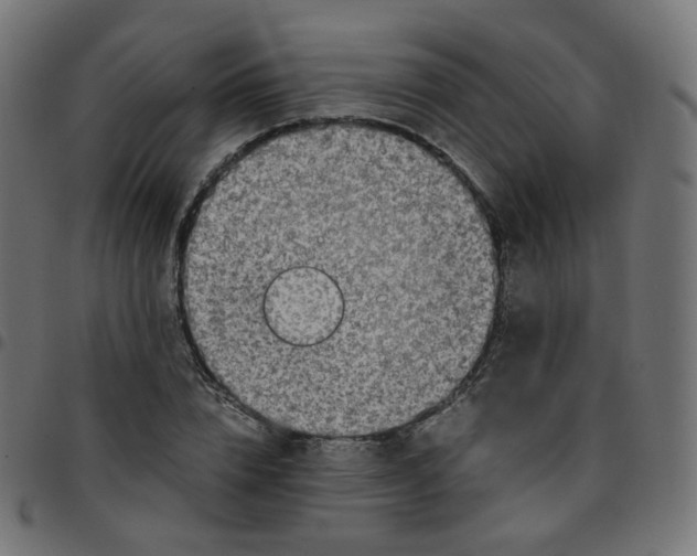 X0000096960832200803071049