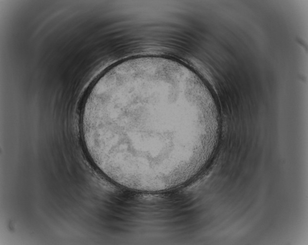 X0000096960835200803071049