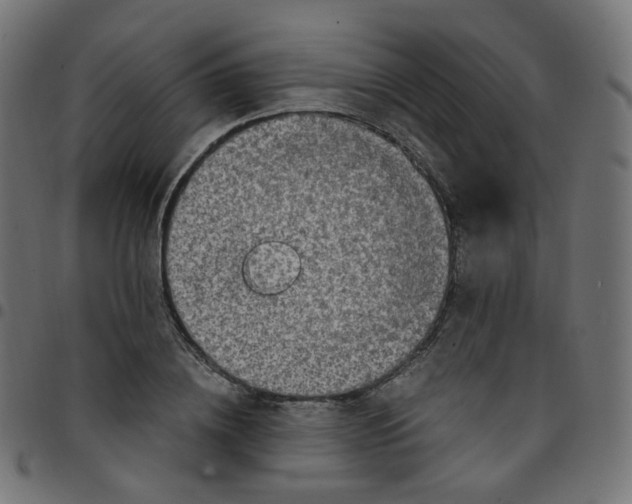 X0000096960836200803071049