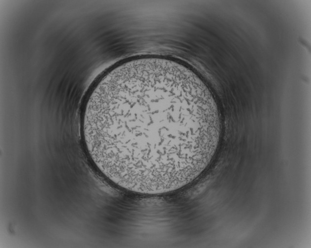 X0000096960838200803071049