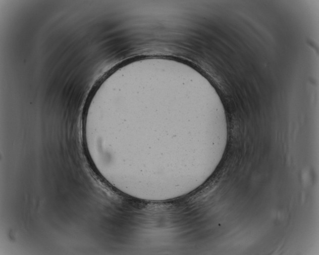 X0000096960840200803071049