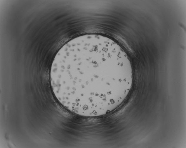 X0000096960841200803071049