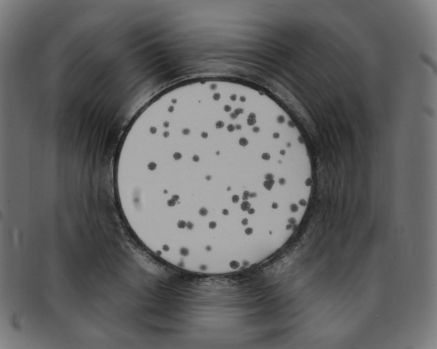 X0000096960842200803071049