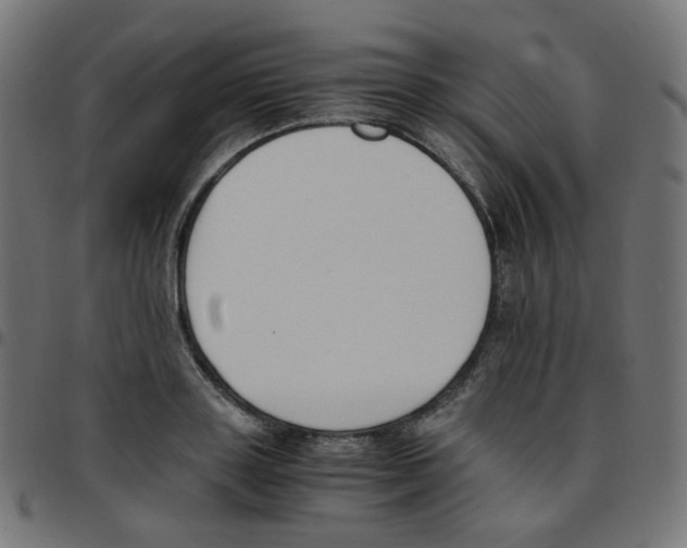 X0000096960843200803071049