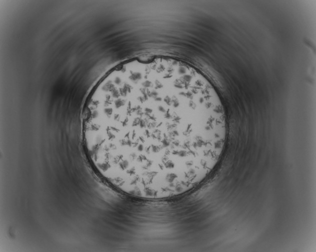 X0000096960844200803071049