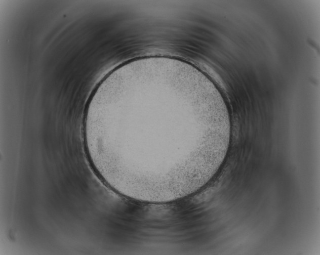 X0000096960847200803071049