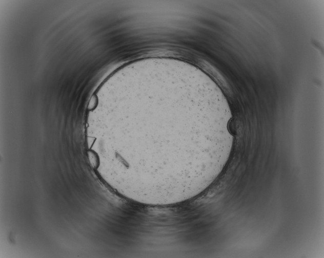 X0000096960852200803071049