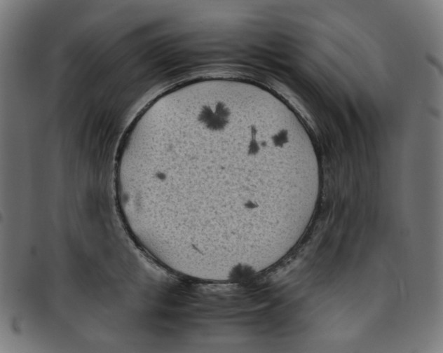 X0000096960853200803071049