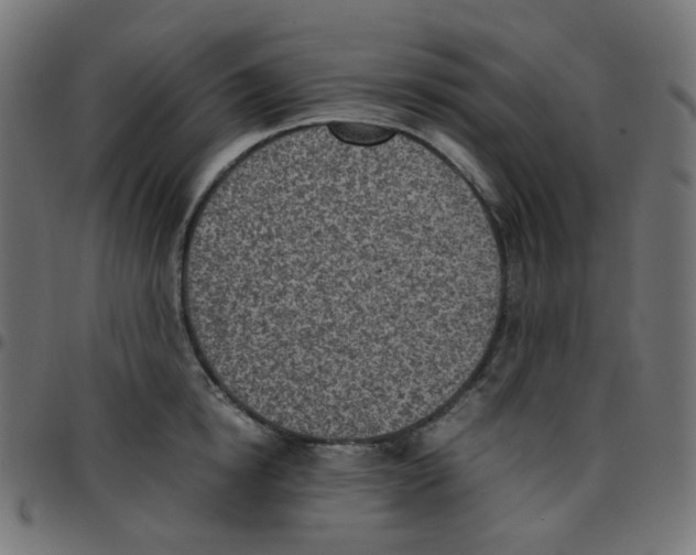 X0000096960854200803071049