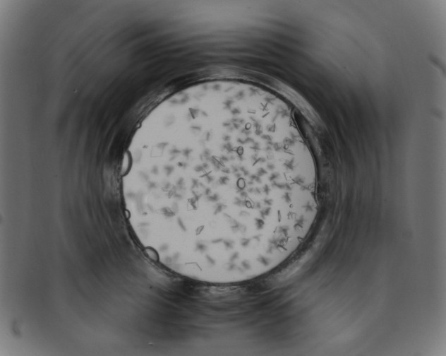 X0000096960857200803071049