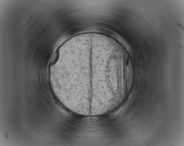 X0000096960858200803071049