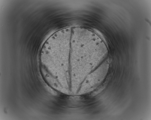 X0000096960859200803071049